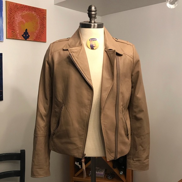 Camel 🐫 toe - Picture 3 of 10